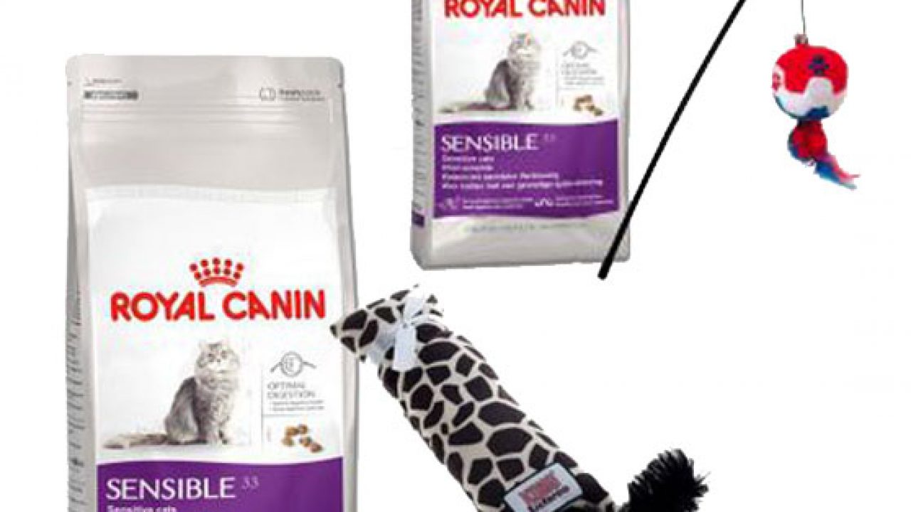 pet gifts canada